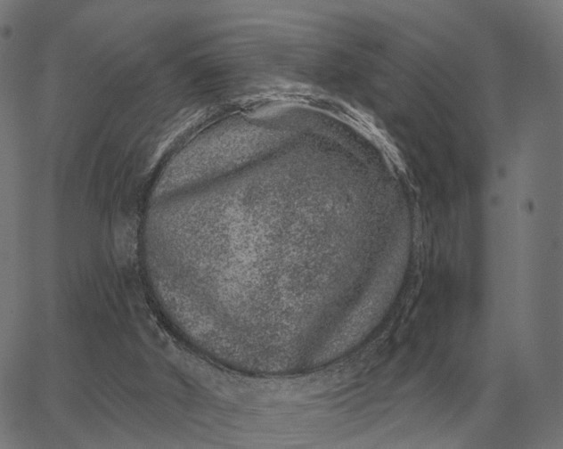 X0000065260010200603031840