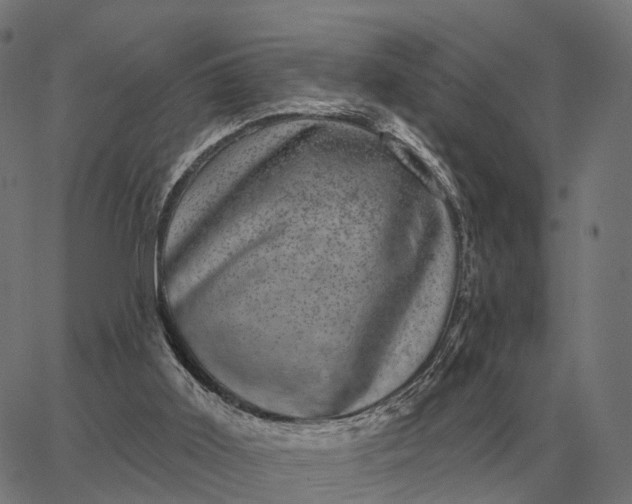 X0000065260011200603031840