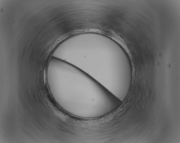 X0000065260013200603031840