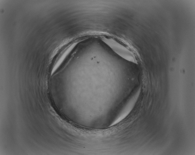 X0000065260015200603031840