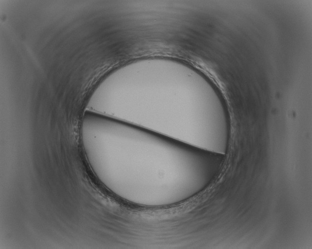 X0000065260017200603031840