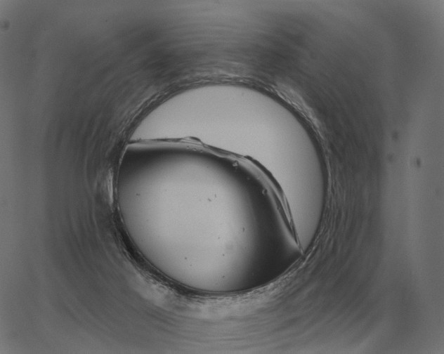 X0000065260021200603031840