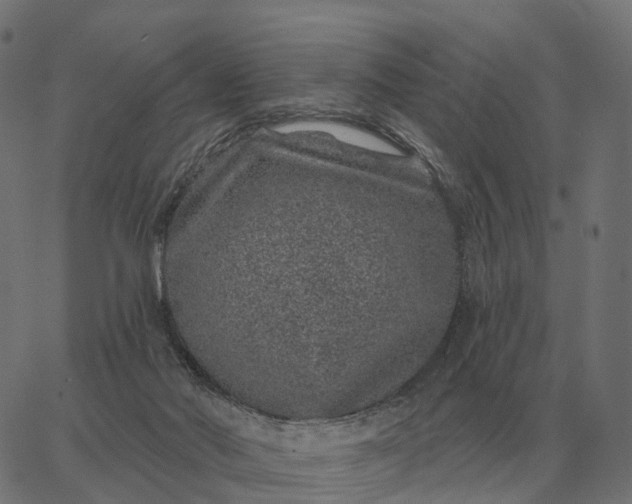 X0000065260022200603031840