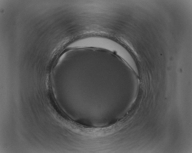 X0000065260023200603031840