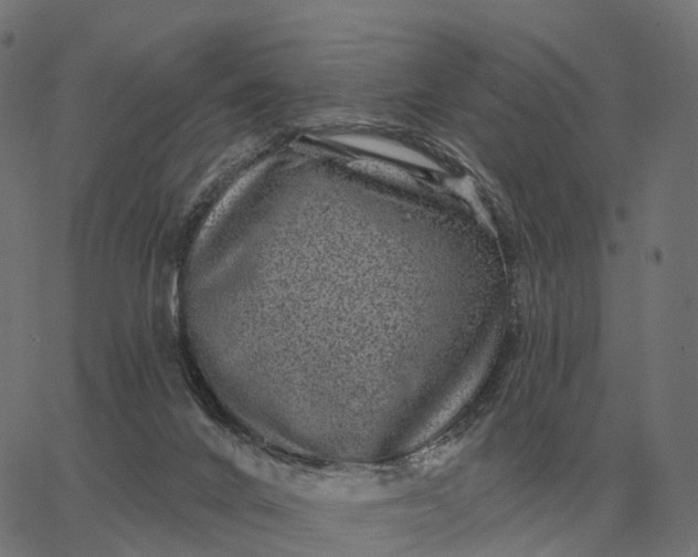 X0000065260024200603031840