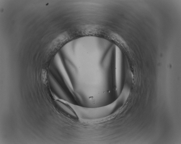 X0000065260025200603031840