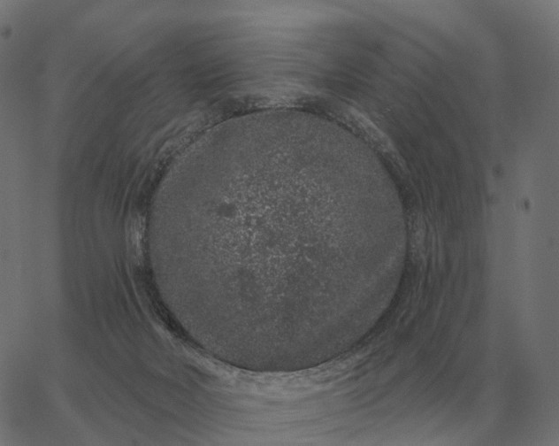 X0000065260026200603031840