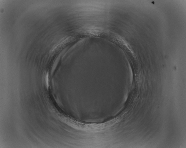 X0000065260027200603031840