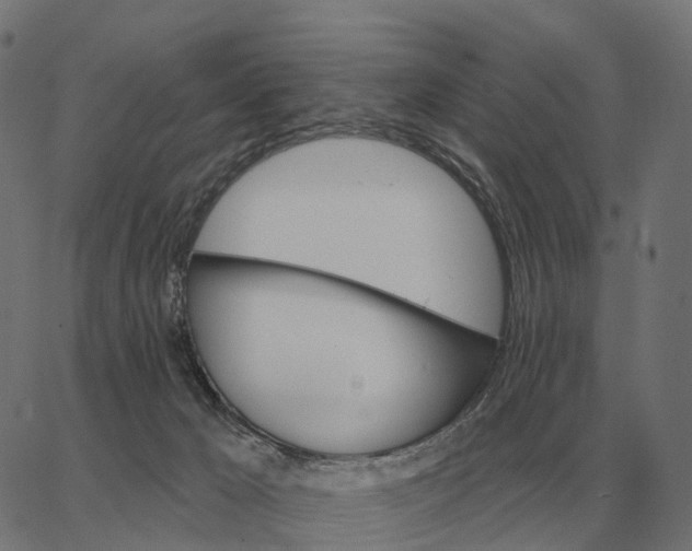 X0000065260029200603031840