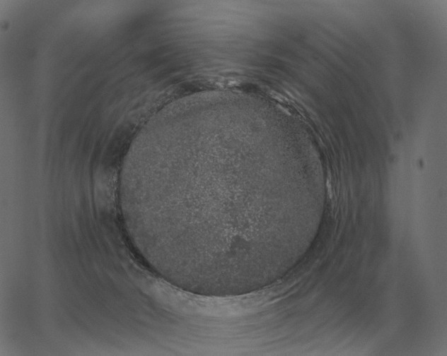 X0000065260030200603031840