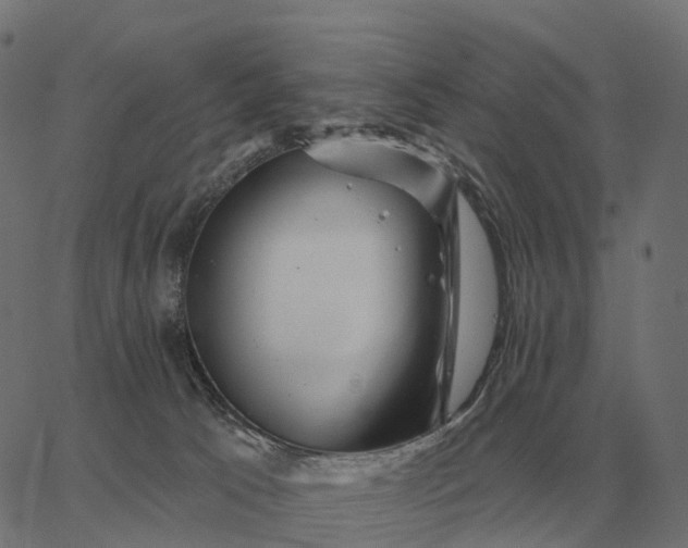 X0000065260033200603031840