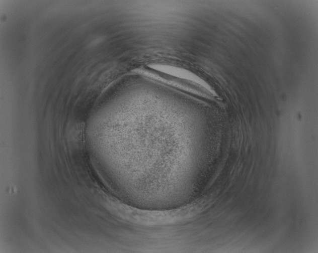 X0000065260034200603031840