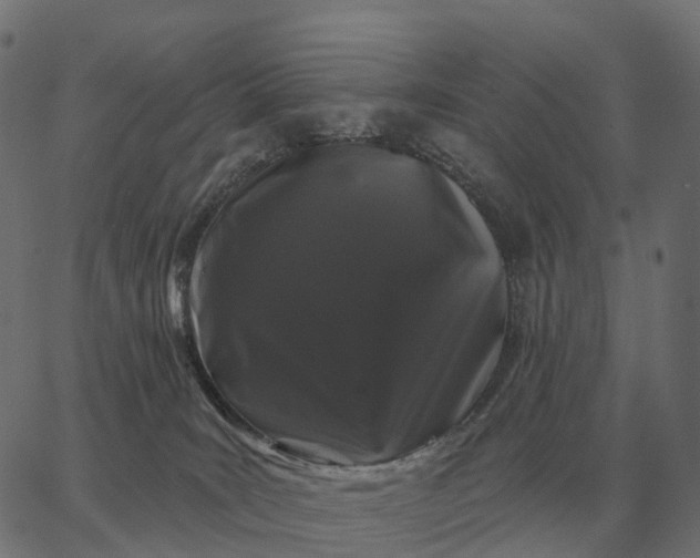 X0000065260035200603031840