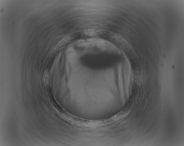 X0000065260036200603031840