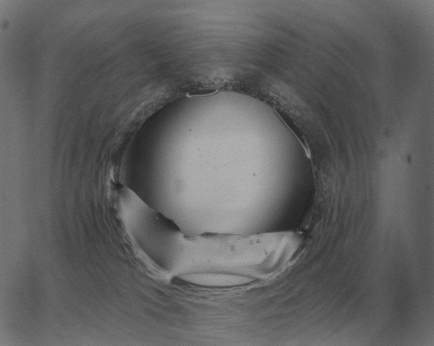 X0000065260037200603031840