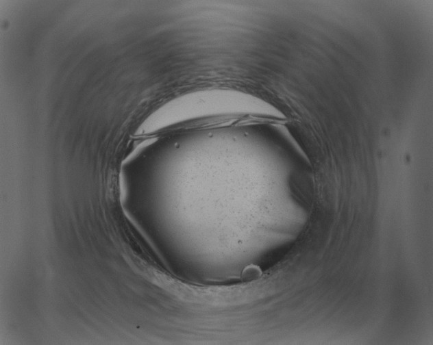 X0000065260038200603031840