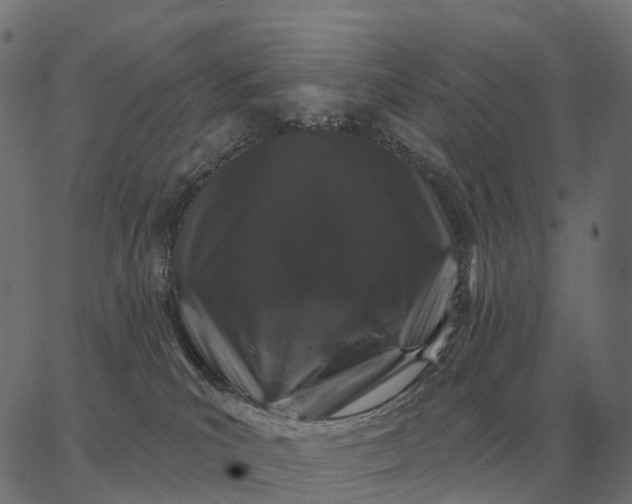 X0000065260039200603031840