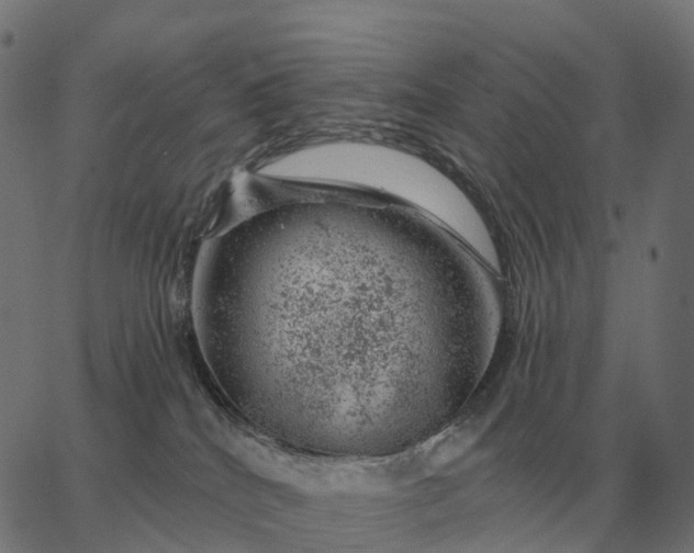 X0000065260040200603031840