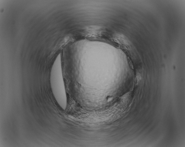 X0000065260041200603031840