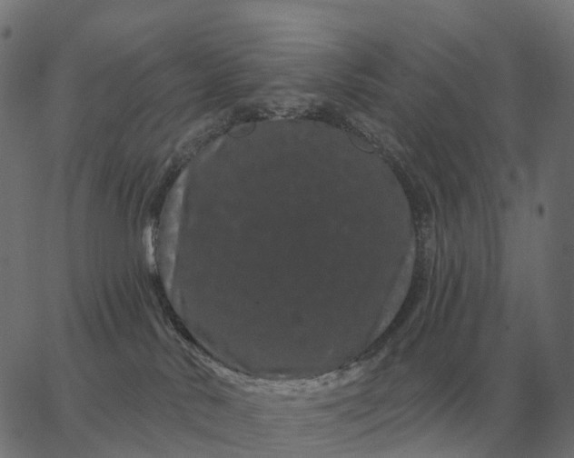 X0000065260042200603031840