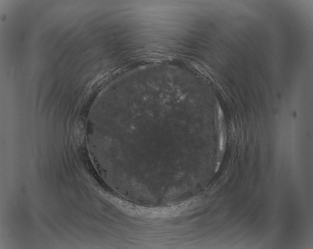 X0000065260043200603031840