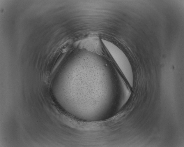 X0000065260044200603031840