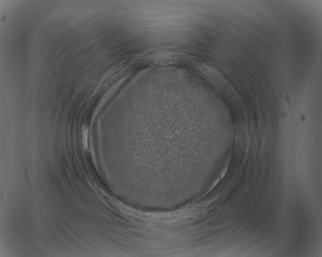 X0000065260046200603031839