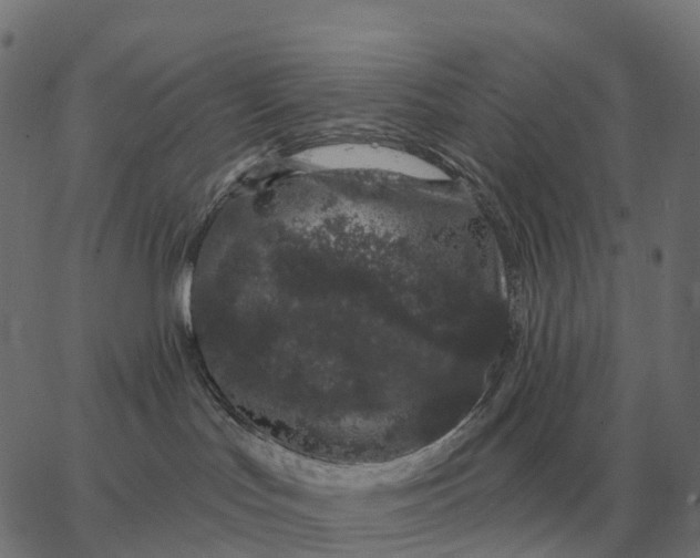 X0000065260047200603031839