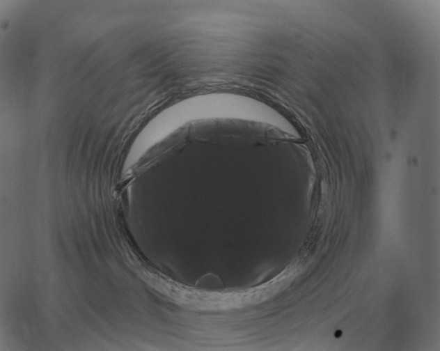 X0000065260048200603031839