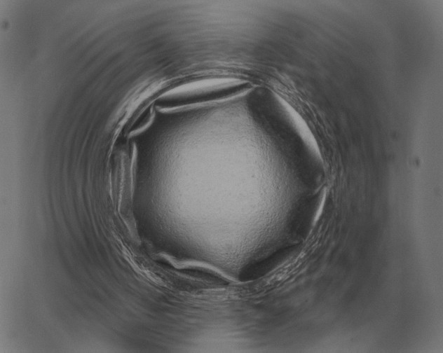 X0000065260050200603031839