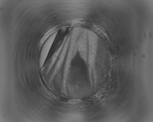 X0000065260051200603031839