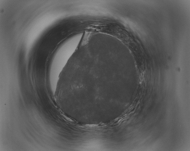 X0000065260052200603031839