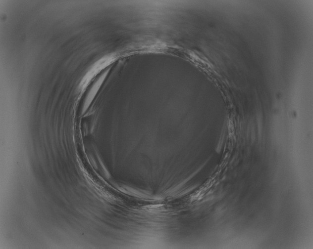 X0000065260054200603031839