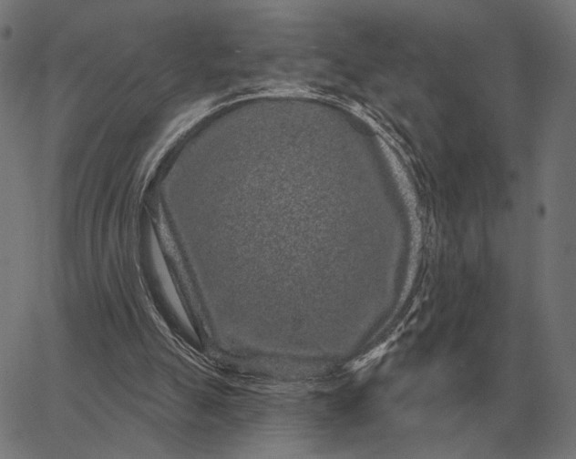 X0000065260055200603031839