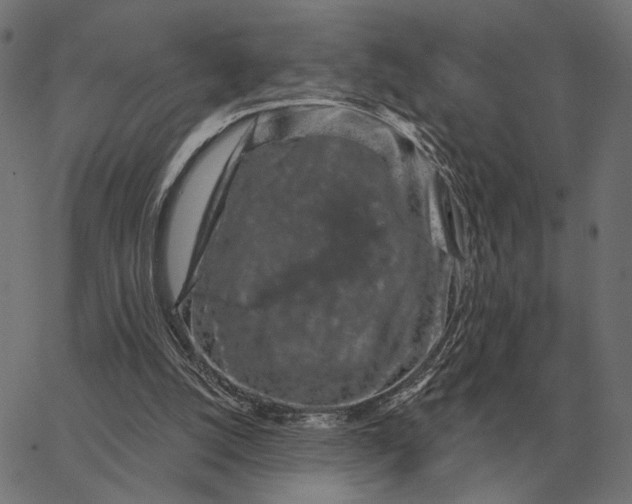 X0000065260056200603031839