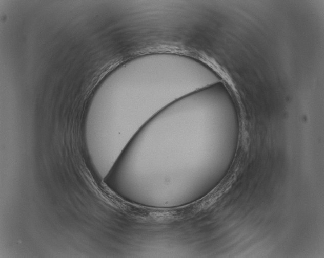 X0000065260057200603031839