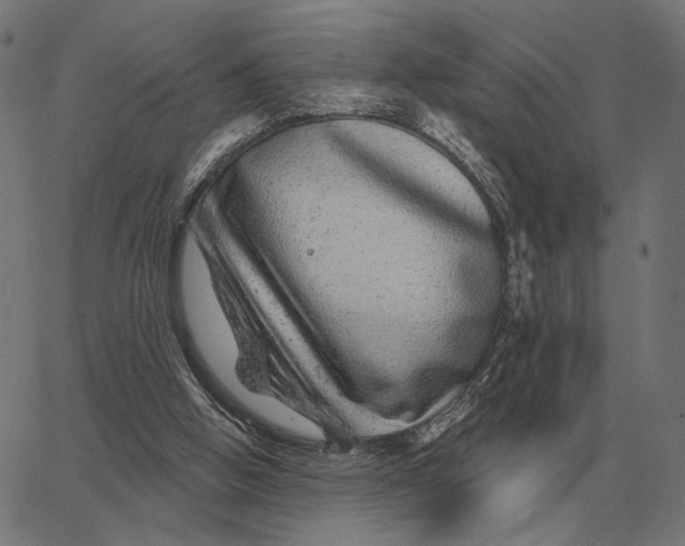 X0000065260058200603031839