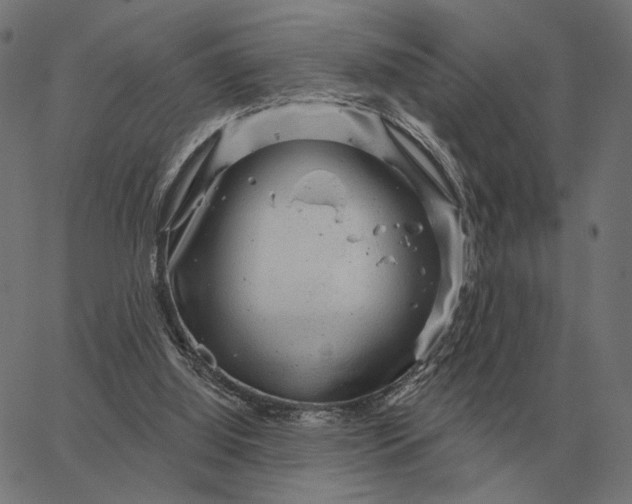 X0000065260060200603031839