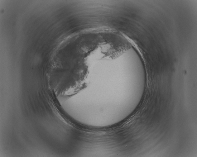 X0000065260061200603031839