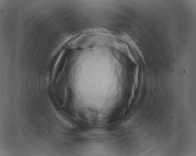 X0000065260063200603031839