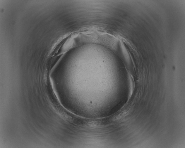 X0000065260064200603031839