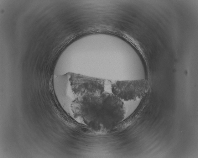 X0000065260065200603031839