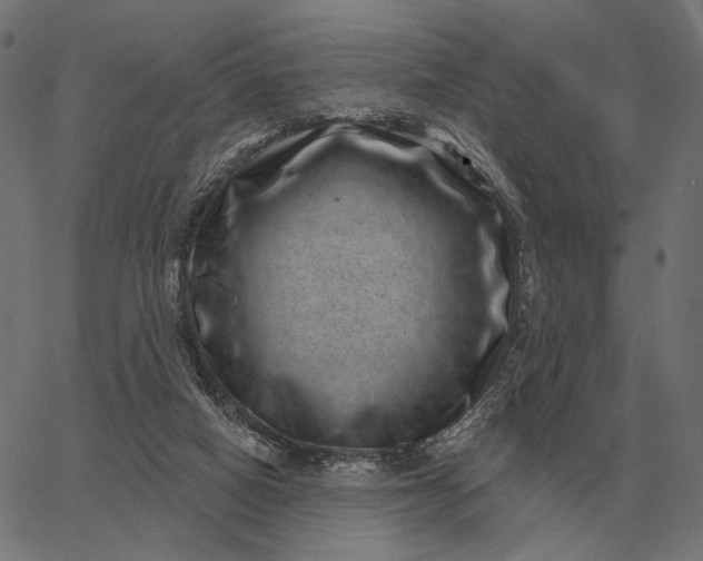 X0000065260066200603031839