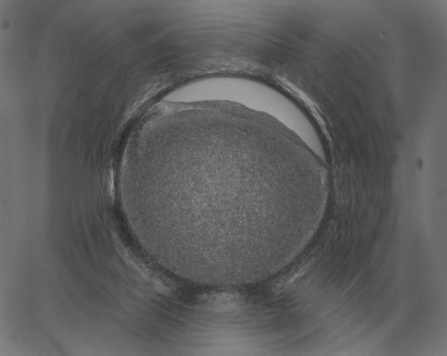 X0000065260067200603031839