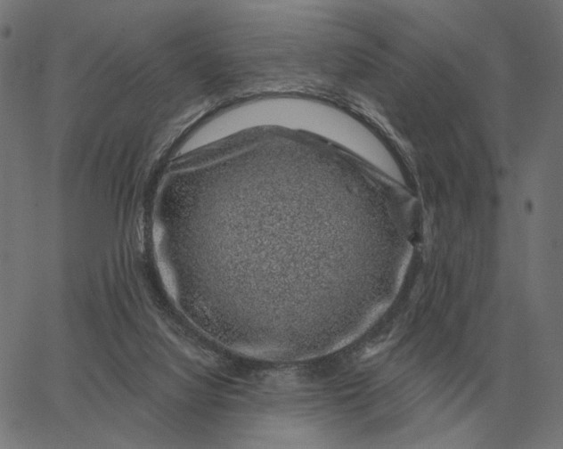 X0000065260068200603031839