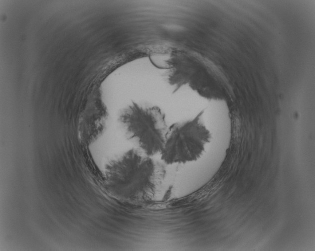 X0000065260069200603031839