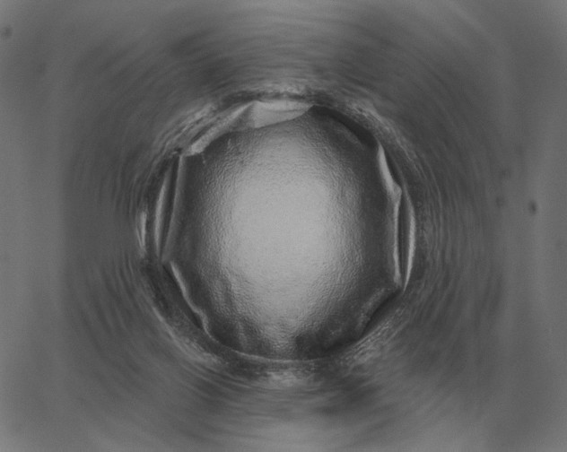 X0000065260070200603031839