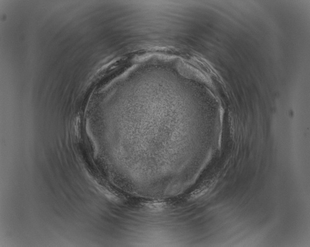 X0000065260071200603031839