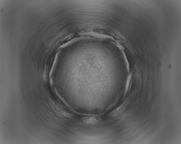 X0000065260074200603031839