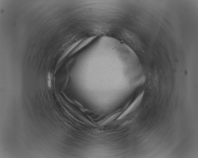 X0000065260075200603031839